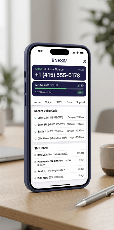 BNESIM application dashboard showing local number