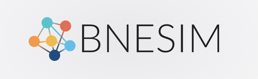 Benesim Logo Colorful logo with network design